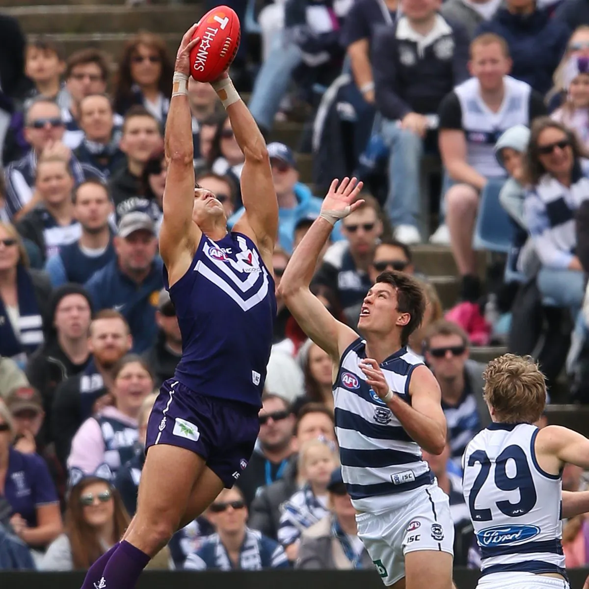 Superstar back to top form ... Fremantle Dockers Captain Matthew Pavlich marks strongly against Andrew Mackie of the Geelong Cats in the Second AFL Qualifying Final on Sept 7, 2013. The 31-year-old 6-time AFL All Australian had played just 9 games due to injury and suspension prior to this final. Pavlich kicked two goals and led from the front as his team won by 15-points. (Michael Dodge/Getty Images)