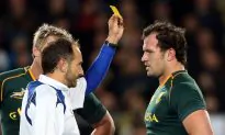 Furious ’Boks Fans Blame Ref For All Blacks Loss