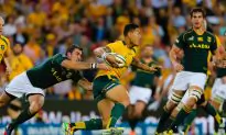 Unsettled Wallabies Face Score-Settling Springboks