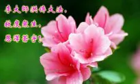 Moon Festival Greetings Express Gratitude and Freedom