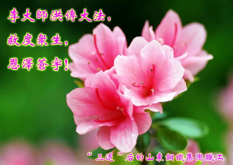 This card is signed, "Shandong Iron and Steel Group, Ltd. workers who have made the 'three withdrawals.'" The three withdrawals refers to withdrawing from the Chinese Communist Party and its affiliated youth groups, the Young Pioneers and the Communist Youth League. These withdrawals are often promoted by Falun Gong practitioners. (Minghui.org)