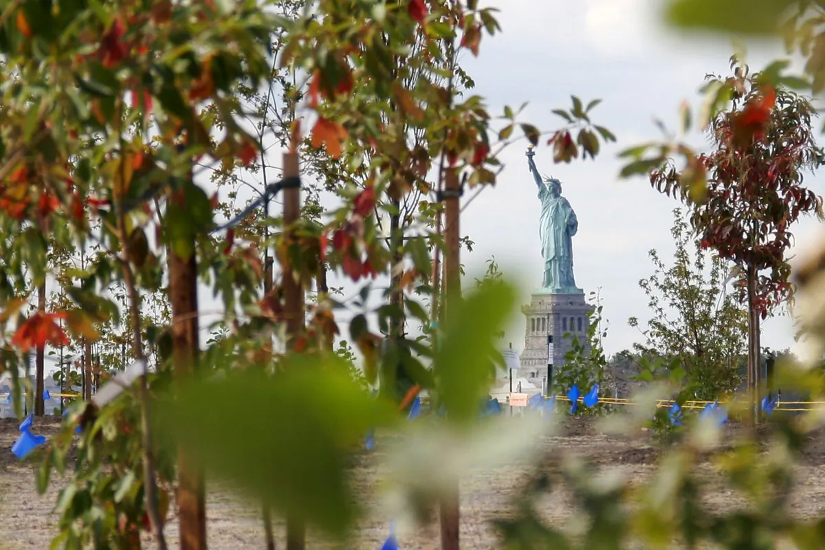 The Statue of Liberty is seen through a row of young trees planted in the newest portion of Governor's Island, New York City, Sept. 29, 2013. (Ivan Pentchoukov/Epoch Times)