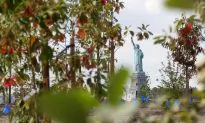 A Glimpse Into the Future of Governors Island