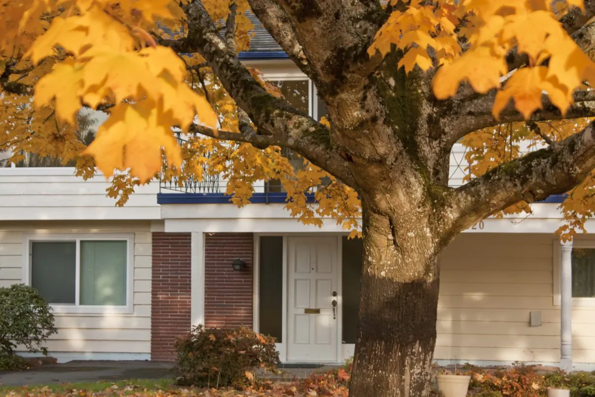 Now is the time to prepare your home for fall and winter.(Aleksan Ghojoyan/Photos.com) 