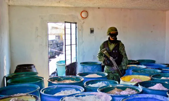 Chinese Networks Dominate Chemical, Cash Sectors of Drug Cartel Business 