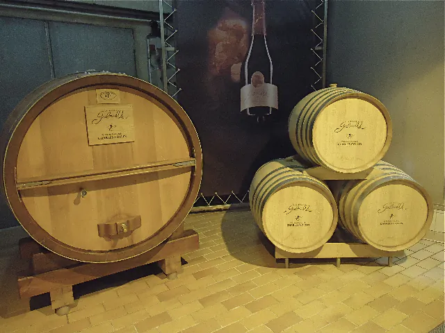 Charles Collin’s wine cellar in Champagne, France. (Susan James)