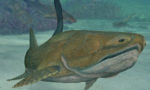 China: Fish Fossil Discovery Could Dramatically Shift Evolutionary History