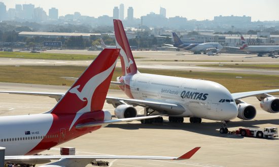 Snake on a Plane Causes Flight Delays
