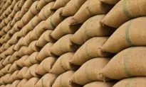 DOJ Statement Opens Door to Industrial Hemp