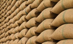 DOJ Statement Opens Door to Industrial Hemp 