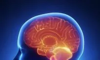 Scientists Develop 3-D Video Game to Improve Brain Skills