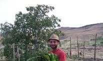 In Sicily, a Young Farmer Defies the Mafia