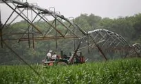 Senate Agriculture Committee Holds Hearing on the Farm Bill