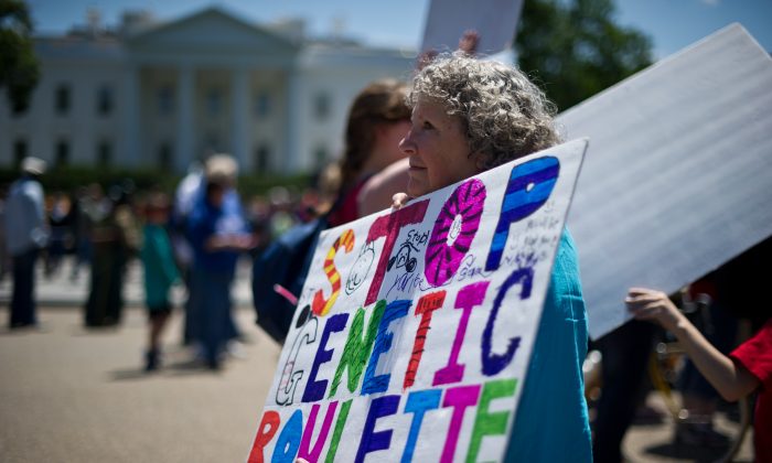 A woman holds a sign during a demonstration against Monsanto and genetically modified organisms (GMO) in front of the White House, May 25, 2013. (Nicholas Kamm/AFP/Getty Images)

