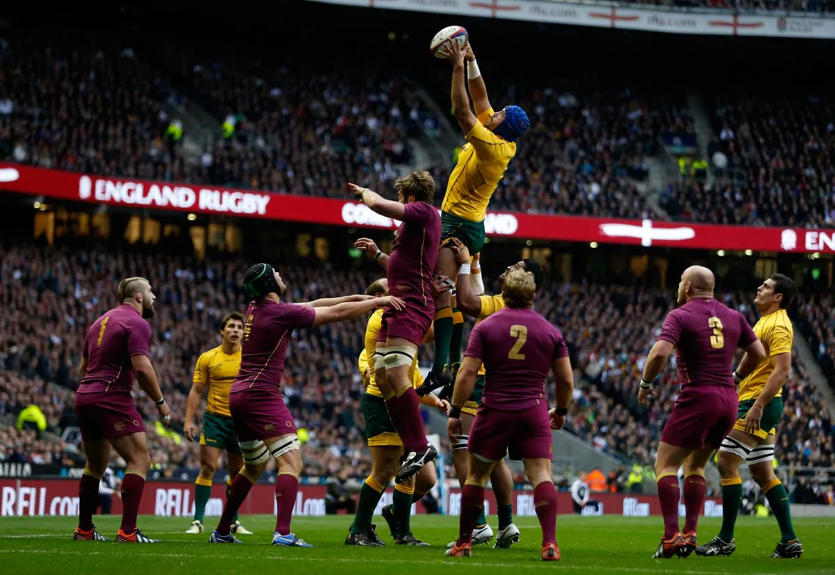 Nathan Sharpe of Australia wins line-out ball against England at Twickenham last year. (Tom Shaw/Getty Images)