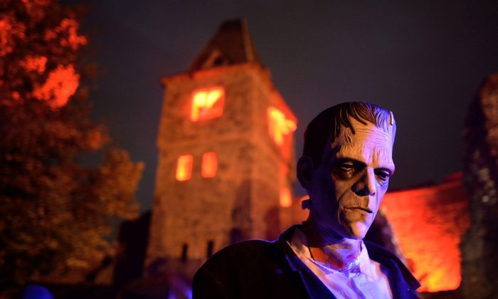 A person dressed as Dr. Victor Frankenstein's monster tries to scare visitors at Frankenstein castle on October 19, 2013, in Darmstadt, Germany. The Frankenstein monster and its creator have roots with a real-life doctor that performed Frankenstein-like experiments over 150 years ago. (Thomas Lohnes/Getty Images) 