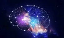 How Brain Cells Are Like Little Universes