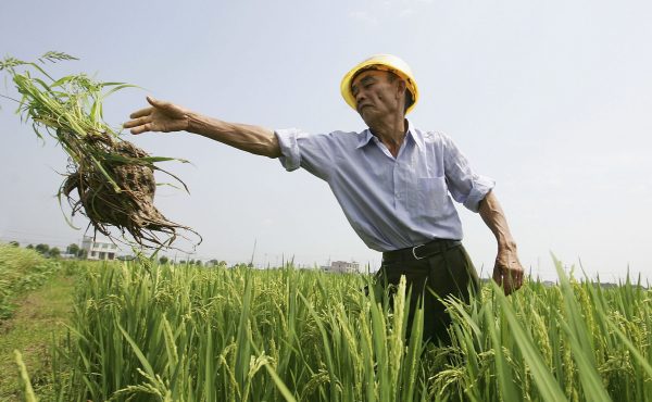 Epoch Times Photo