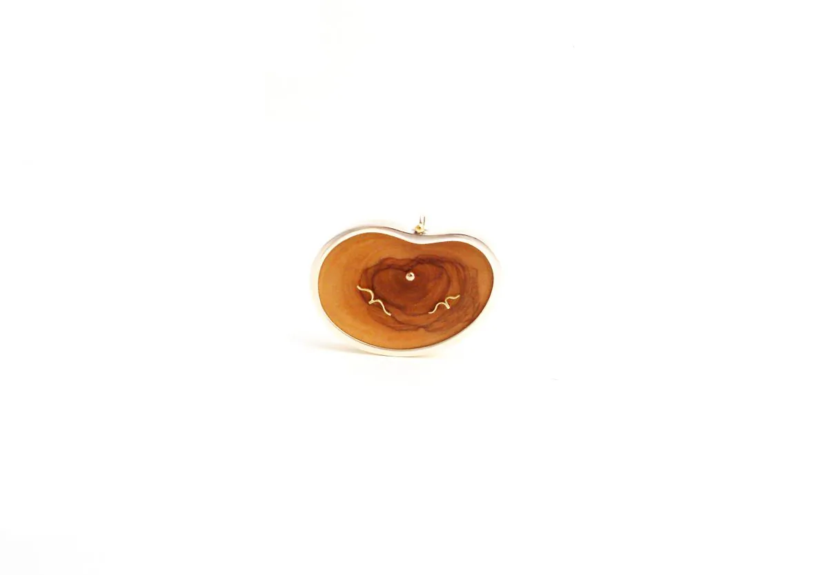 Brooch and Necklace -   Handcrafted wood -   Sterling Silver - Gold 18K