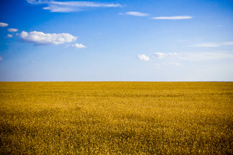 Typical agricultural landscape of Ukraine, Kherson Oblast (Dobrych)