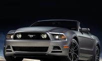 2014 Mustang GT Makes Hay