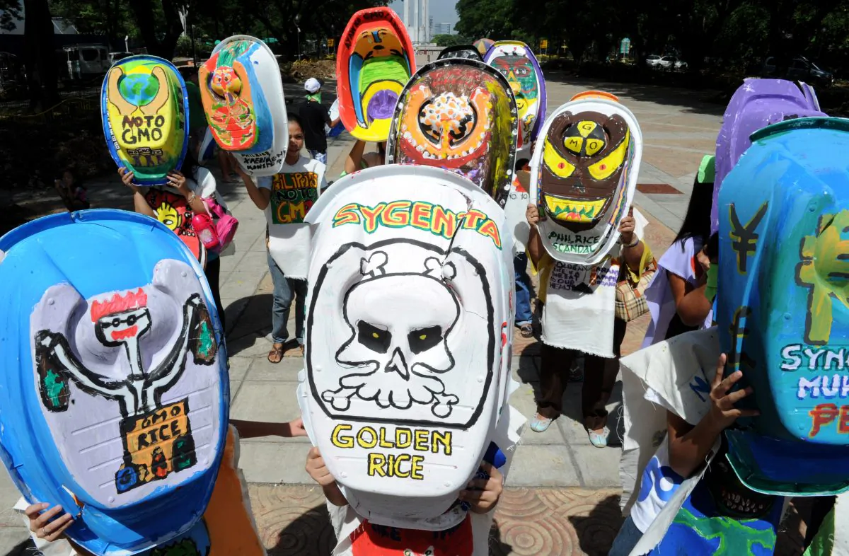 Environmental activist group Greenpeace and members of the Green Moms staged a creative protest to demonstrate their strong opposition to certain types of genetically modified rice in Manila on June 5. (Jay Directo/AFP/Getty Images)