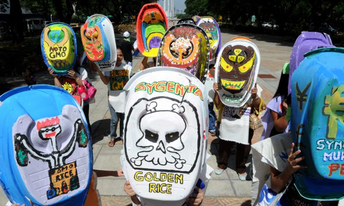 Environmental activist group Greenpeace and members of the Green Moms staged a creative protest to demonstrate their strong opposition to certain types of genetically modified rice in Manila on June 5. (Jay Directo/AFP/Getty Images)