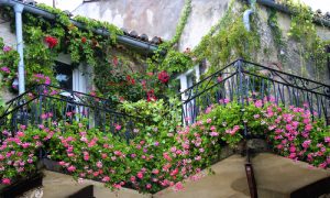 Does Your Garden Qualify as a Nature Reserve? Take the Test