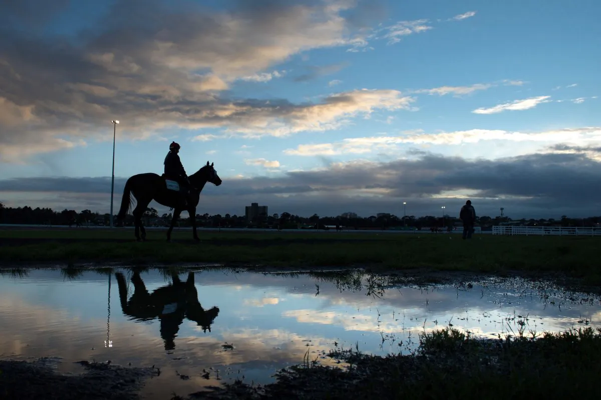 General view of horses during trackwork at Flemington Racecourse in Melbourne. Trainers work hard but “not everyone has good horses”, says trainer Simon Zahra.
(Vince Caligiuri/Getty Images) 