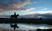 Melbourne Cup: Much More Than a Few Short Furlongs