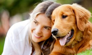 How to Communicate With Your Dog, Read its Body Language