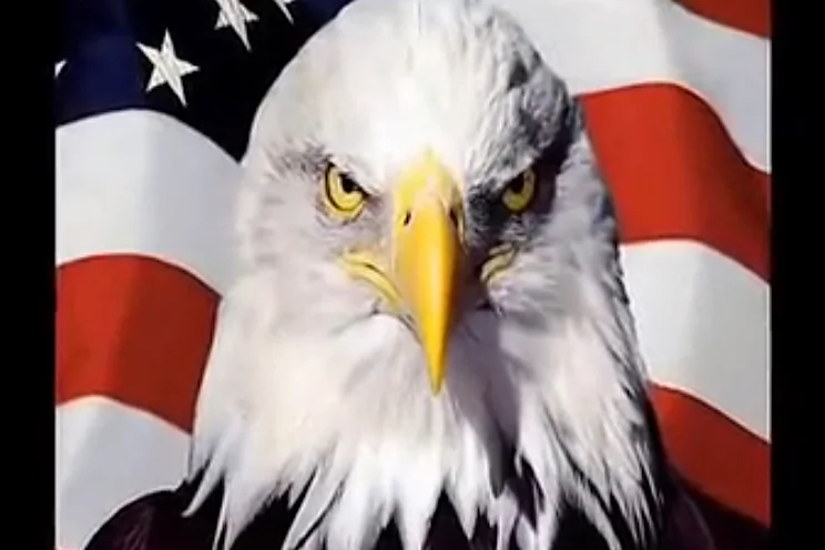 (Screenshot from National Defense University)