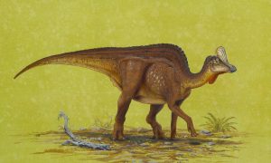 100-foot Dinosaur Fossil Found Near Spirit River in Alberta (+Photo)