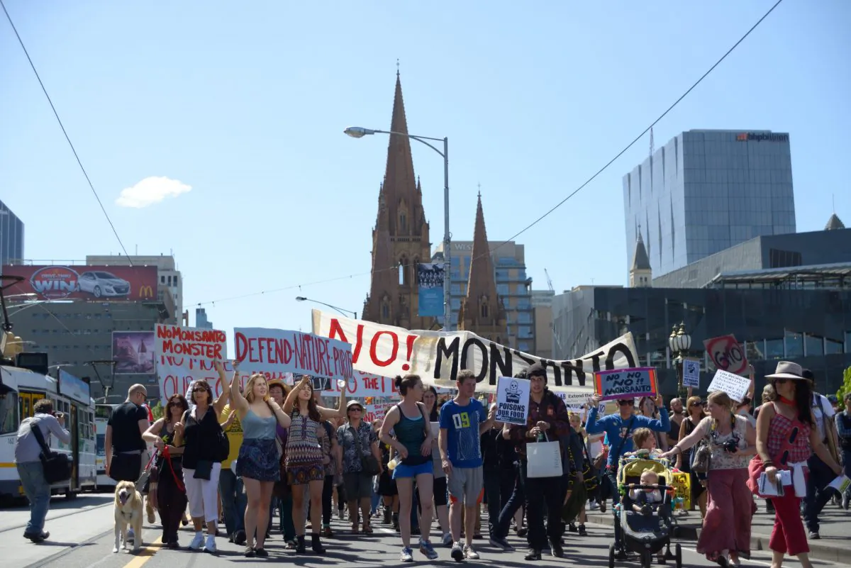 The March Against Monsanto movement held 500 marches in 57 countries, including 14 cities across Australia, to protest the impacts of GMOs and agricultural biotech giant Monsanto on the global food chain on October 12. The marches were organised to coincide with the United Nations’ World Hunger Day on Oct. 16. (Win Naing/Epoch Times)