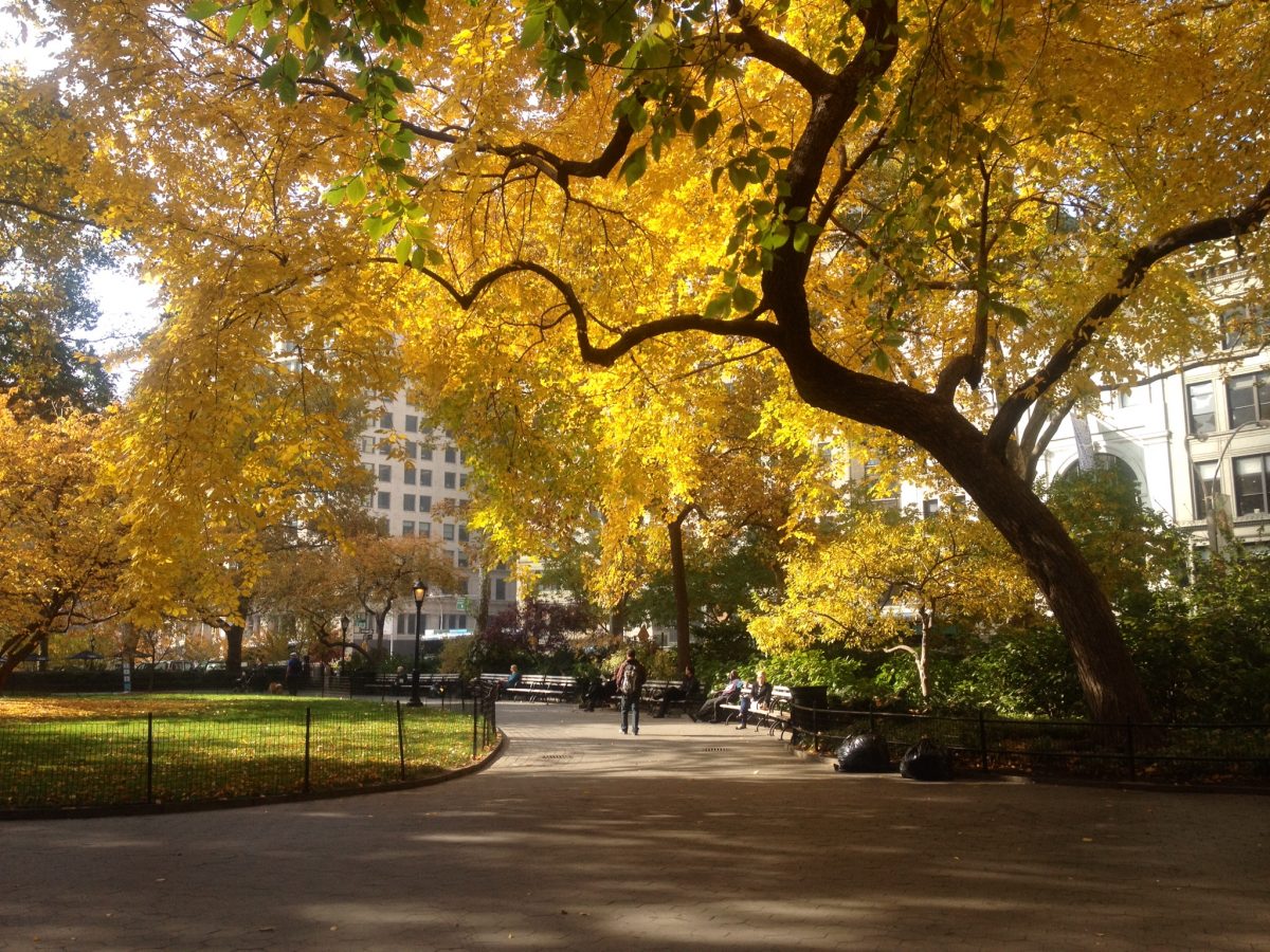Madison Square Park in all its Fall glory, 2012. (Seth Holehouse/Epoch Times)