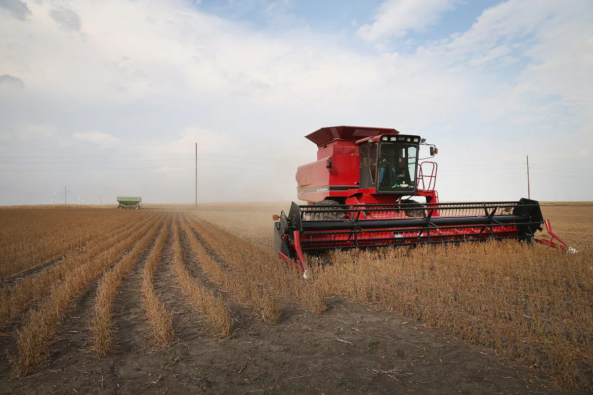 Minnesota soybeans harvested on Oct. 2, 2013. Crop insurance is designed to protect farmers and ranchers from unpredictable weather and market forces, but reformers want more limits on the subsidies. (Scott Olson/Getty Images)