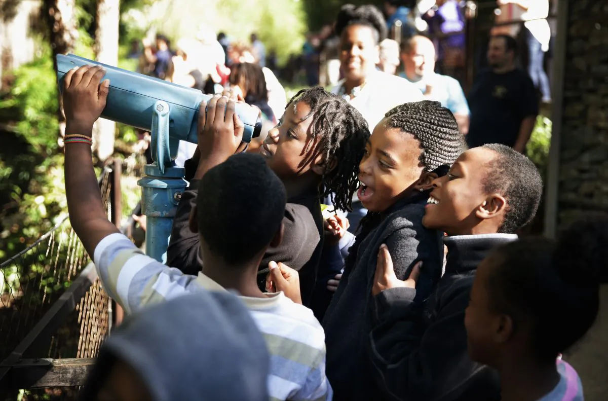Third graders from Tree of Life Community Public Charter School in Washington D.C visit the National Zoo on Oct.18. Recent data shows that students in D.C. charter schools out perform their peers in math and reading. (Alex Wong/Getty Images)
