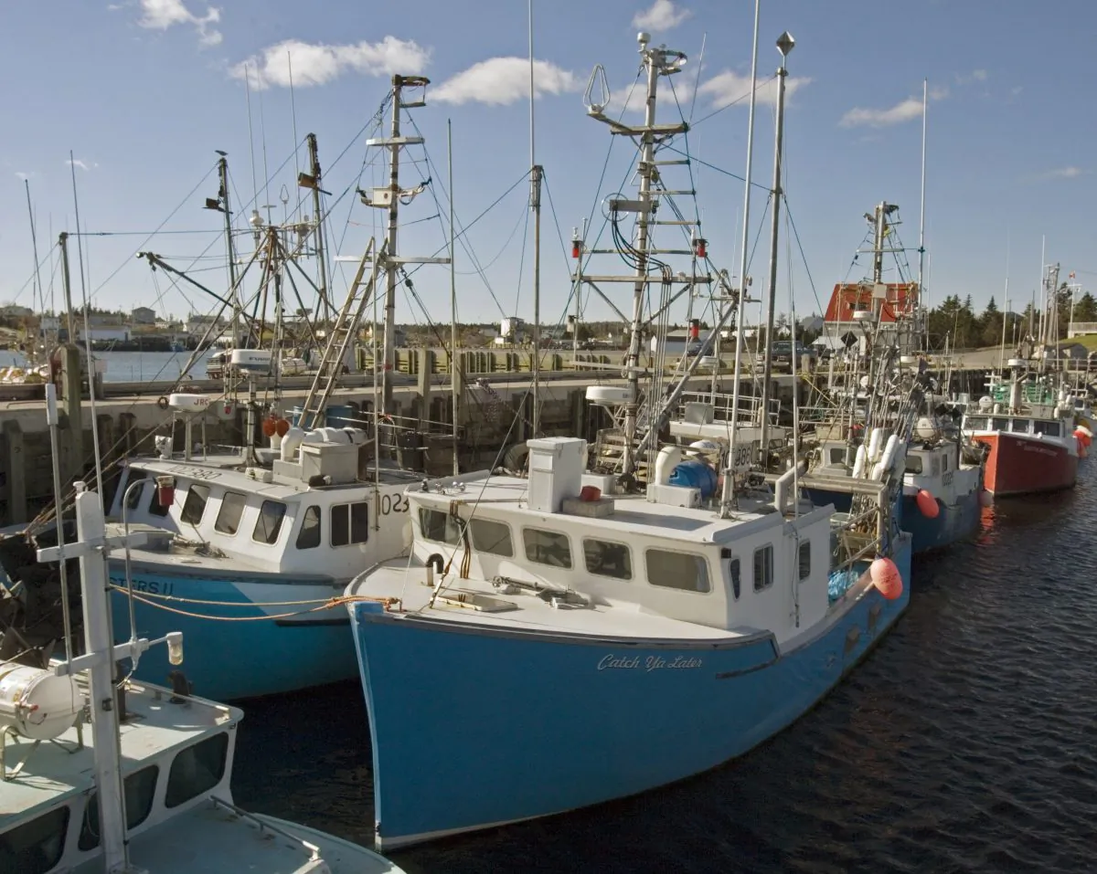 Fishing boats rest at a wharf in Sambro, Nova Scotia. A national panel has found that three main gaps, including a lack of co-ordination among many different organizations, threaten Canada's position as a leader in ocean science. (CP PHOTO/Andrew Vaughan)