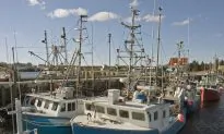 Canada at Risk of Losing World Leader Status on Ocean Science