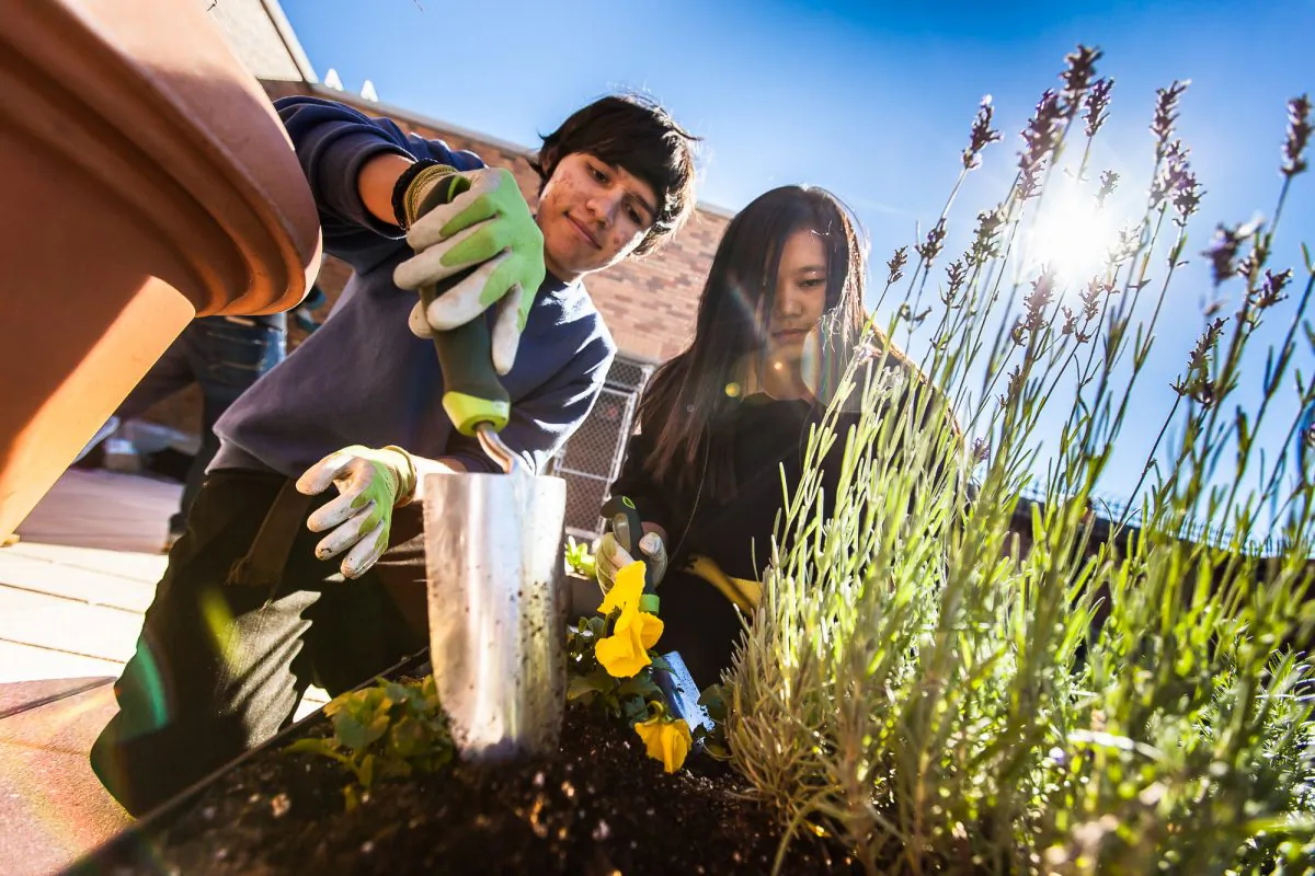 Students planting herbs at the rooftop garden of the William Cullen Bryant High School in Astoria, Queens, New York, Nov. 4, 2013. (Petr Svab/Epoch Times)