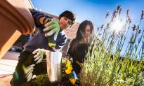 NY Students Ready to Learn on Rooftop Garden Classroom