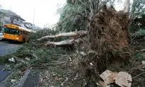 Teen Killed by Fallen Tree at Camp in B.C., Another Person in Hospital