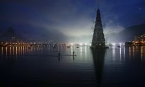 Christmas Tree on Lake