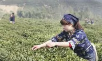 China’s Migrant Workers—at the Heart of Economic Growth