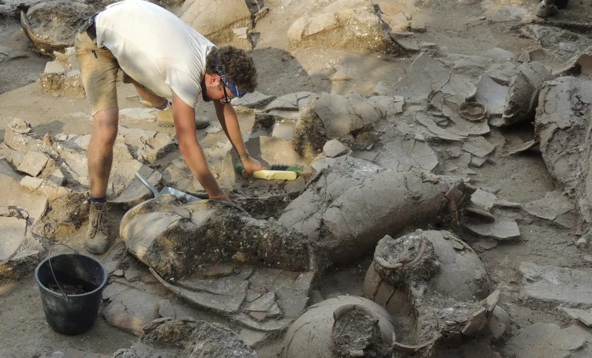 George Washington University alumnus Zach Dunseth carefully removes dirt and debris from ancient wine jars while excavating the ruins of a recently discovered wine cellar in a Canaanite palace in Israel that dates back to approximately 1700 B.C., near the modern town of Nahariya in northern Israel. (AP Photo/George Washington University, Eric H. Cline)