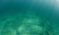 How Was it Made? Prehistoric Underwater Wall Divides Scientists