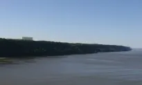 LG’s Lofty HQ Building Disgruntles Palisades Protectionists