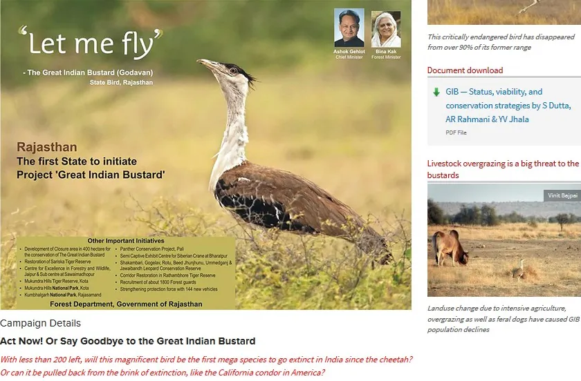 A screenshot of the Conservation India website, which is campaigning to conserve the Great Indian Bustard. The giant bird is on the brink of extinction with just 250+ left in the wild as it is marked as critically endangered by IUCN. (Epoch Times)