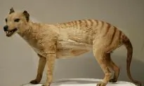 5 Extinct Animals That May Still Exist