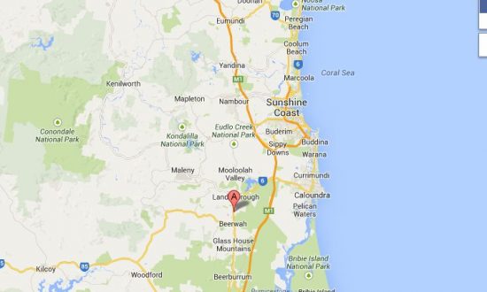 Tiger Bites Man’s Neck in Attack at Steve Irwin’s Australia Zoo, Reports Say